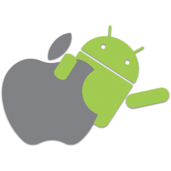 App Development
